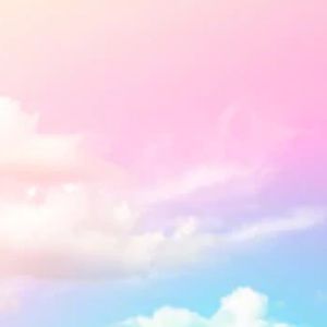 Meet your Posher, Laila